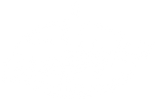 Bond Solid Cologne Booster (2-Pack)