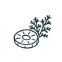 Fruit, spice and cedar scent icon